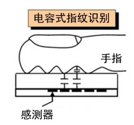 三种指纹识别技术你知道几个