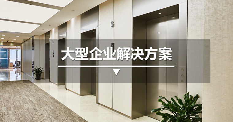 大型企业解决方案