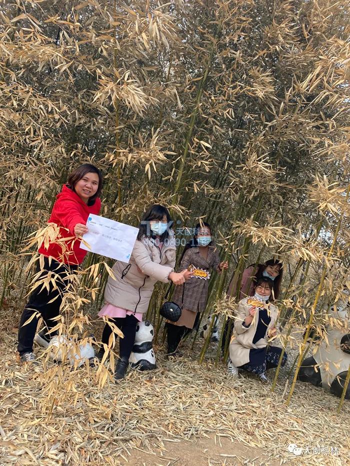 3月8日女神节活动